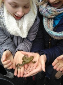 Bild3